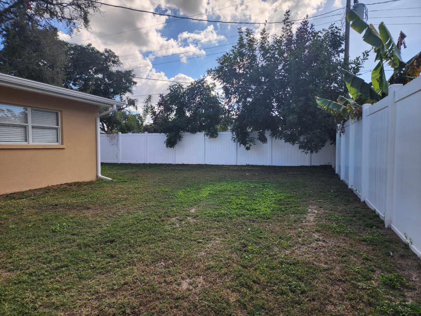 120-backyard A